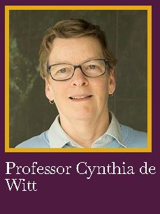 Prof Cynthia De Wit